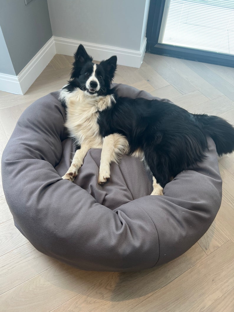 May include: A black and white border collie dog lying in a grey dog bed. The dog bed is round and has a raised edge.