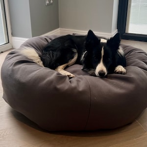 May include: A black and white border collie dog lying in a dark grey round dog bed. The dog bed is on a light wood floor.