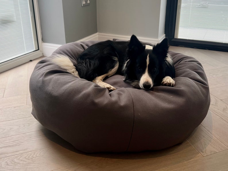 May include: A black and white border collie dog lying in a dark grey round dog bed. The dog bed is on a light wood floor.
