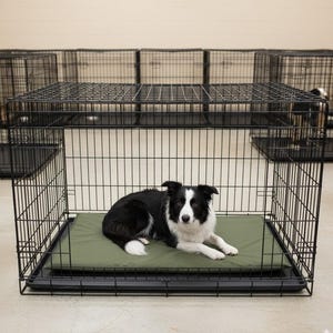 May include: A black wire dog crate with a black and white dog lying on a green bed inside. Several other crates are visible in the background. The dog is a Border Collie.