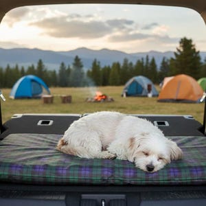 Waterdichte reismat voor honden – Opvouwbaar hondenbed voor in de auto, afwasbaar materiaal, lichtgewicht campingmat