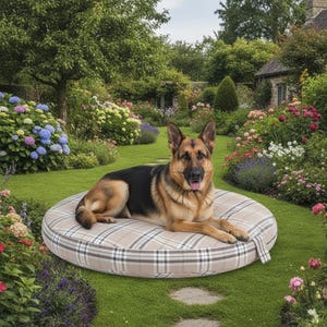 Dirty Dog Gleneagles Kreishundebett - weiches Karo-Haustierbett, 4 Größen S - XL, 4 Farben Muskatnuss Haferflocken Holzkohle Burgund, tiefes Kissen, hergestellt in Großbritannien