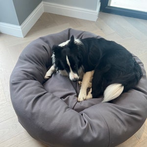 May include: A black and white dog is sleeping in a grey dog bed. The bed is round and has a raised edge. The dog is curled up in the bed and has its head resting on its paws.