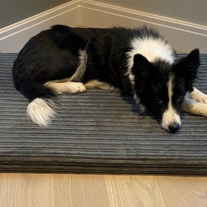 May include: A black and white border collie dog laying on a gray corduroy dog bed. The bed has a thick, padded cushion and is rectangular in shape.