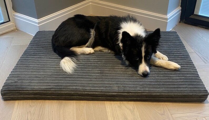 May include: A black and white border collie dog laying on a gray corduroy dog bed. The bed has a thick, padded cushion and is rectangular in shape.