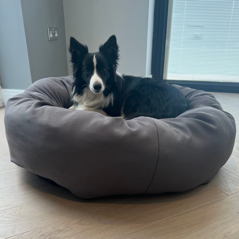 May include: A black and white border collie dog lying in a grey dog bed. The dog bed is round and has a raised edge.