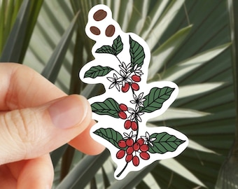 Coffee Plant - Coffee Bean - Caffeine - Sticker for Journal, Water Bottle, Phone, Laptop