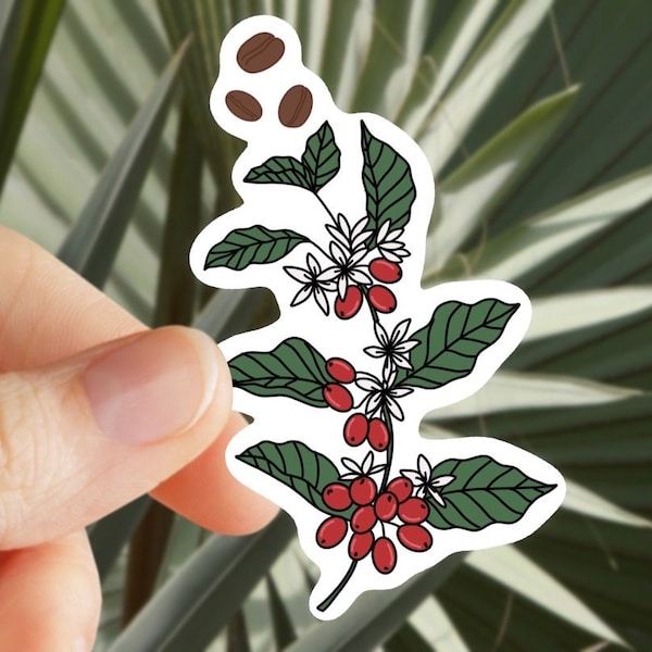 Coffee Plant - Coffee Bean - Caffeine - Sticker for Journal, Water Bottle, Phone, Laptop