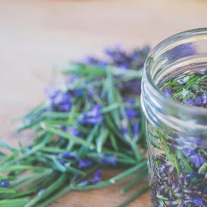 May include: A glass jar filled with lavender flowers and water. The jar is sitting on a wooden surface next to a pile of lavender sprigs.