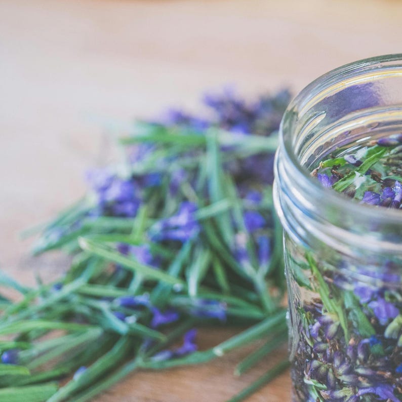 May include: A glass jar filled with lavender flowers and water. The jar is sitting on a wooden surface next to a pile of lavender sprigs.