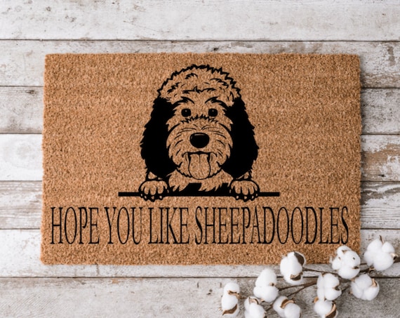 19 Sheepadoodles ideas  cute dogs, cute puppies, puppies