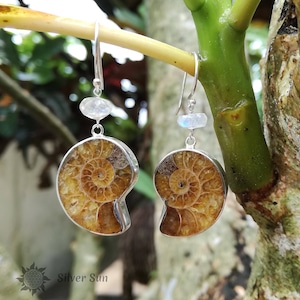May include: A pair of silver earrings featuring a fossilized ammonite with a moonstone accent. The ammonite is a spiral shell with a brown and gold colour.