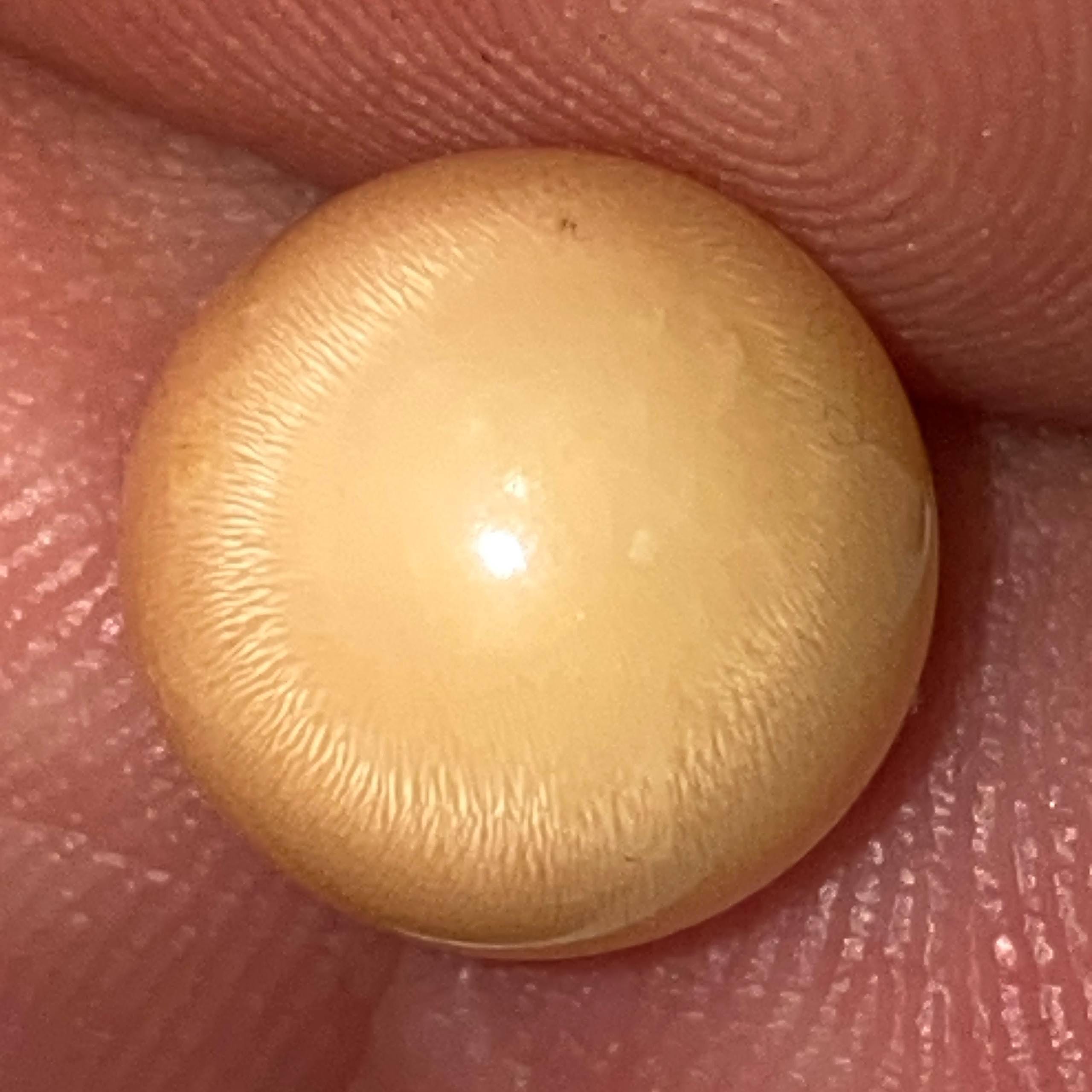 Melo Melo Natural Pearl With Flame Orange - Creamy Color South Sea