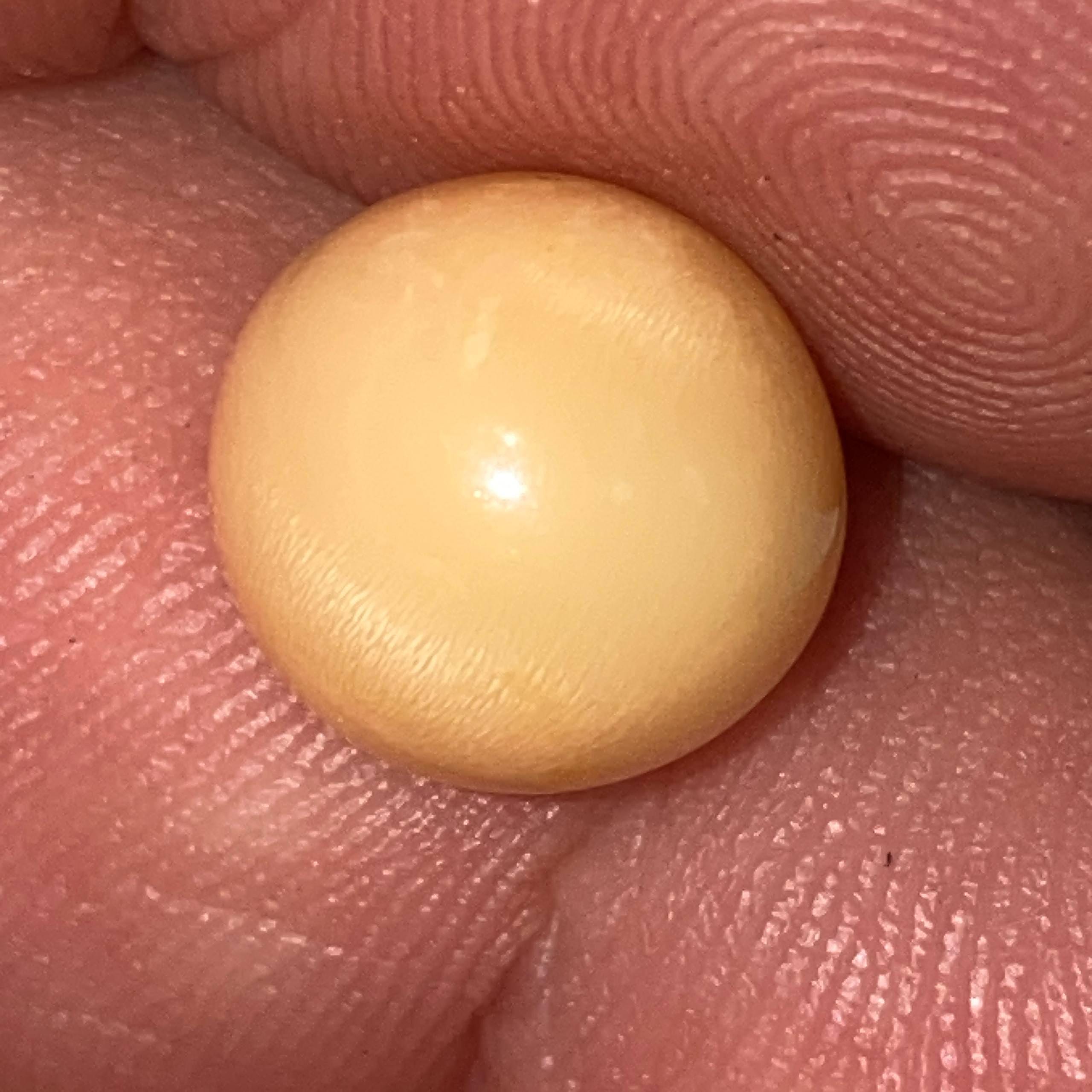Melo Melo Natural Pearl With Flame Orange - Creamy Color South Sea