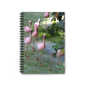 May include: Spiral-bound notebook featuring a photograph of several pink flamingos wading in a green-tinted body of water. The birds have long legs and necks, with black beaks. Green foliage is visible in the background.
