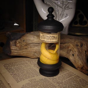 May include: A black-based jar with a lid, housing a yellow specimen labelled "Hair Worm Specimen." The jar is on an open book with aged pages. A white ceramic hand with astrological markings is in the background.