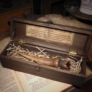 13cm Basilisk  Fang + Specimen Crate  &quot;HANDMADE&quot; Fantasy/Folklore/Fairy Tale gift Ideas/harry potter/dungeons and dragons/prop/wiccan/dragon