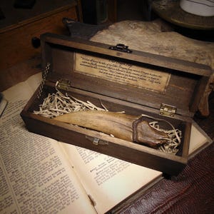 May include: A wooden box with a hinged lid, containing a large, curved, light brown object, possibly a tooth or tusk, nestled in straw. The box has a brass clasp and a small label with text. The box is open on a vintage book.