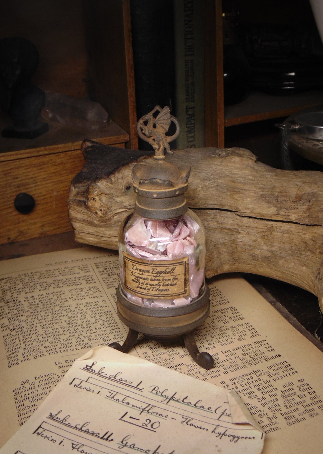 Dragon Eggshell Specimen Jar Props HANDMADE /occult/supernatural/gift