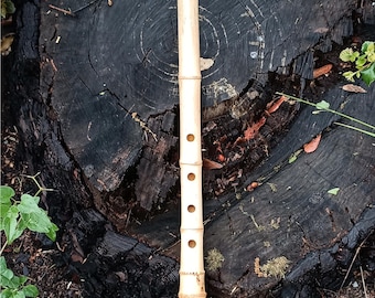 May include: A light-colored bamboo flute with six finger holes. The instrument is cylindrical with a flared end and is resting on a dark, textured wooden surface. The flute's natural bamboo color contrasts with the dark background.