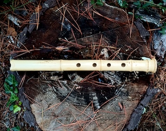 May include: A light brown bamboo flute with six holes, lying on a brown tree stump with pine needles and green leaves.
