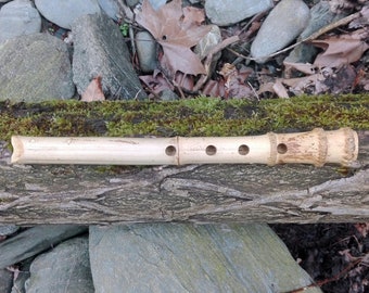SHAKUHACHI JINASHI 1.1 in Bb flute  (this is the note that sounds when you close all holes) with cap.