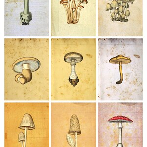 Kollektion No.3 Künstlerische Sammelkarten (Vintage Bilder) - Verwenden Sie für Journals, Geschenke und mehr