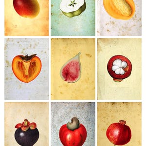 Kollektion No.4 Künstlerische Sammelkarten (Vintage Bilder) - Verwenden Sie für Journals, Geschenke und mehr