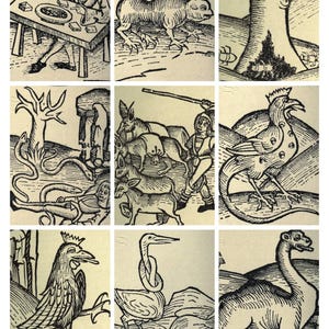 Collezione di carte collezionabili artistiche di Storia Naturale di Shakespeare — Utilizzabili per diari e altro + carte bonus