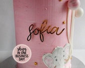 Cake Name Plate Cake Name Plaque Name Plate Birthday Cake Decoration Acrylic Laser Cut