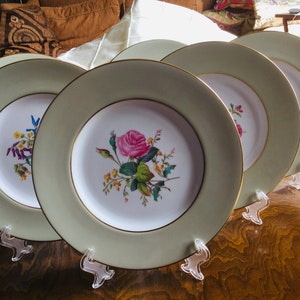Spode Copeland Dinner Plates Floral Set of Six