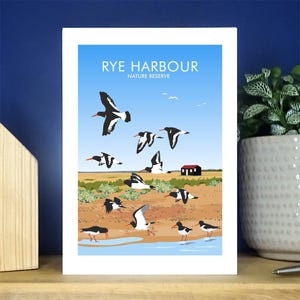 Rye Nature Reserve Oystercatchers, Cartão de Saudações, Sussex. Cartão de Saudações A6. Mais de 500 para escolher.