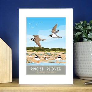 Ringed Plover, Rye Nature Reserve, Cartão de Saudações, Sussex. Cartão de Saudações A6. Mais de 500 para escolher.