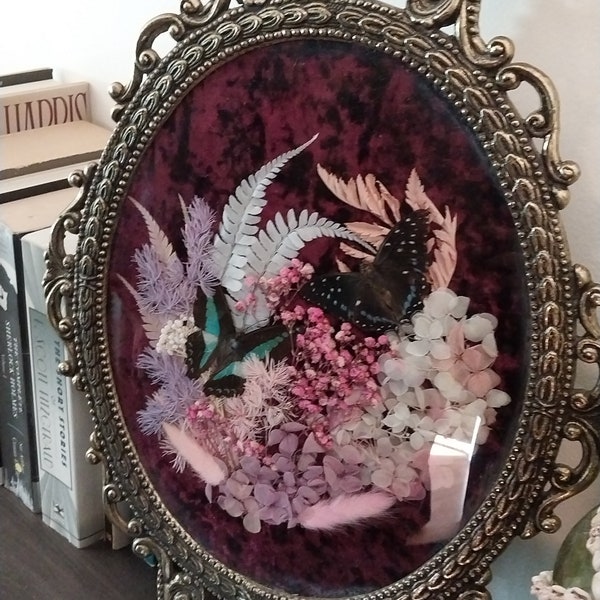 Butterfly Entomology in Vintage Bubble Glass Frame