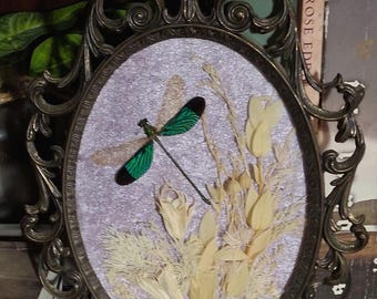 Floral Damselfly Entomology Display in Vintage Bubble Glass Frame