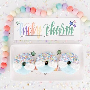 Lucky Charm Rainbow Garland | St Patrick’s Day Felt Ball Garland