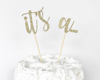 Gender Reveal Cake Topper / Boy Or Girl / He Or She / Blue Or Pink / It's A... / Baby Reveal / Twin Reveal Party / It's Twins / Twins Topper