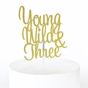 Young Wild and Three Cake Topper | Wild & Three | 3rd Birthday | Three Years Old | Young Wild and Free | Wild One | Number 3 Cake Topper