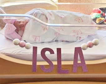 Custom Name Banner with Felt Balls | Baby Shower Gift | Bassinet Banner for Hospital | Baby Name Announcement | Birthday Name Banner