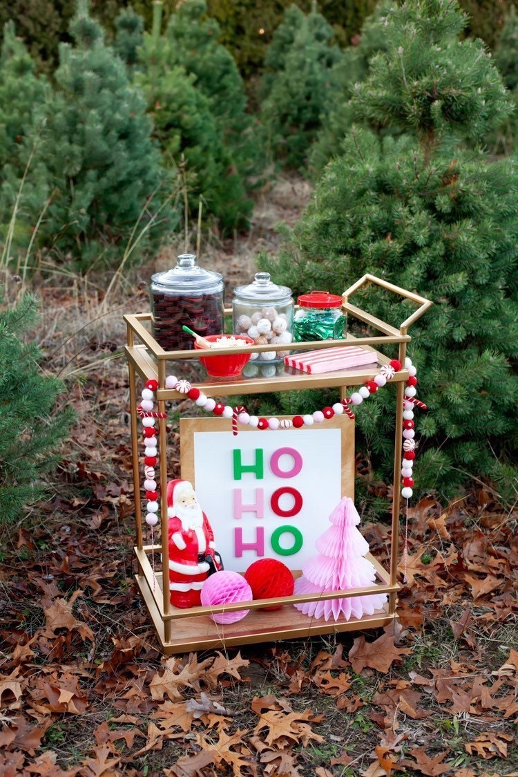 Hand Felted Wool Christmas Garland and Bunting - Pink, Red, and Cream Balls - 6' Arcadia Home