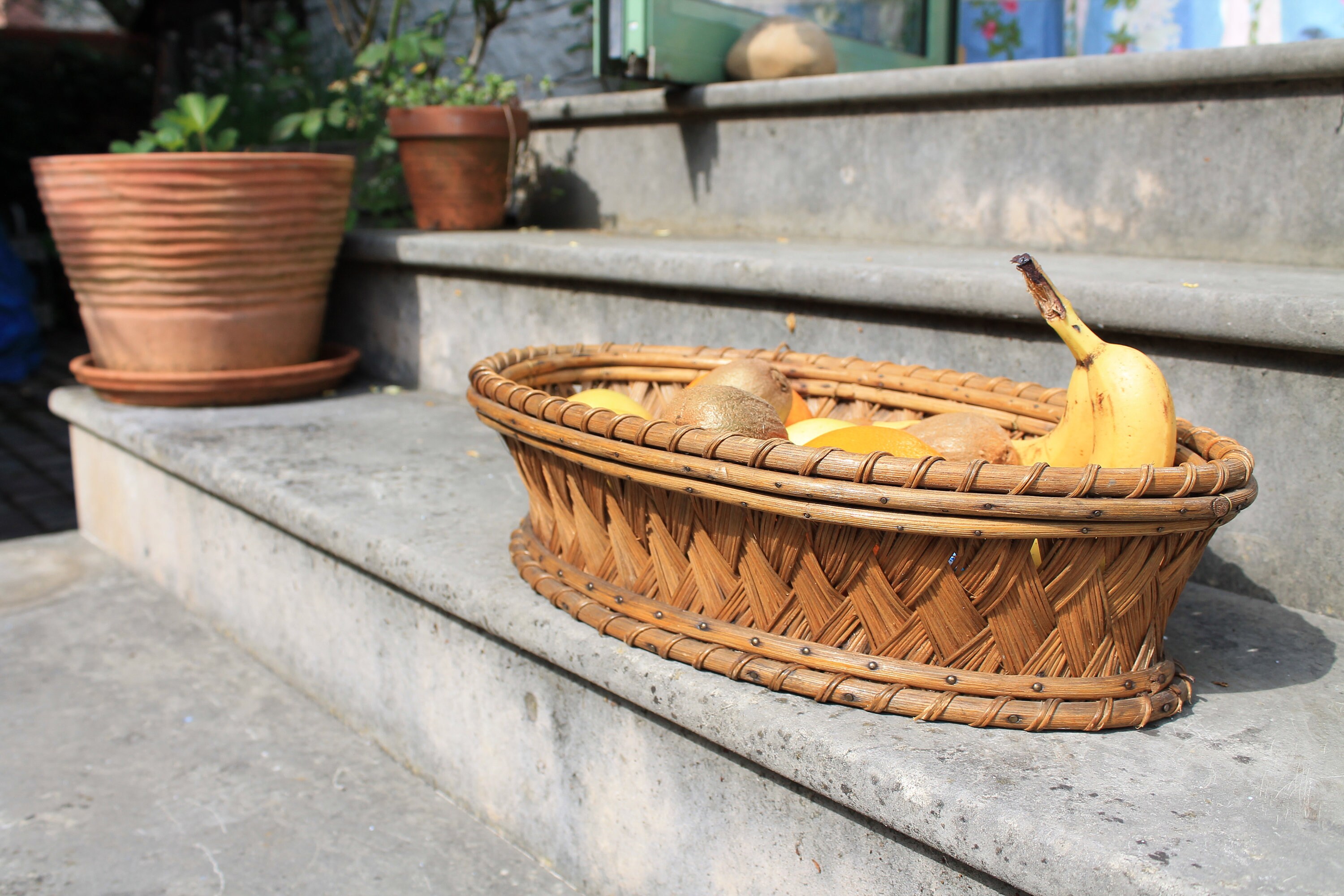 Corbeille à Fruits 1950