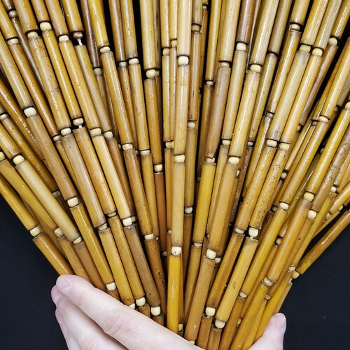 Abeadedcurtain 1 Selling Beaded Curtain in World Natural Etsy