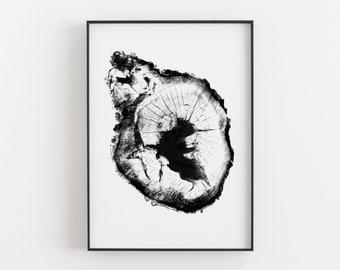 Tree Ring Print, Tree Ring Prints, Prints Tree Rings, Tree Stump Print, Nature, Tree Stump, Tree Rings, Tree Ring, Photos Nature