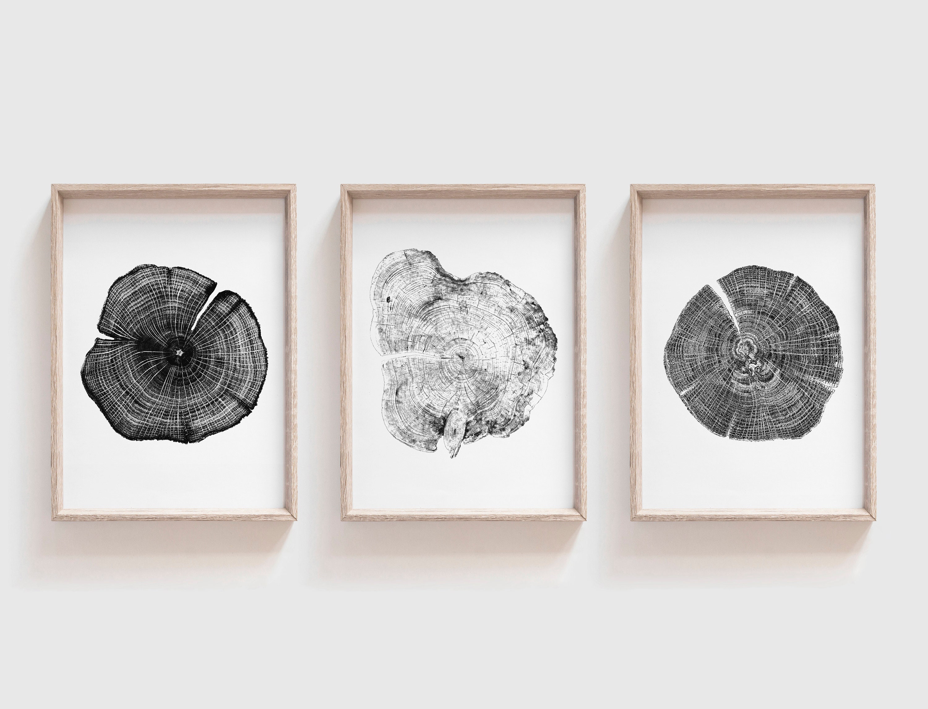 set-of-three-prints-set-of-3-prints-set-tree-prints-tree-etsy
