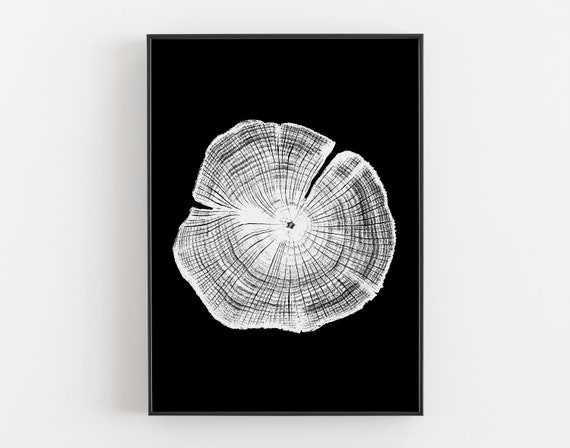 Etsy tree ring best sale