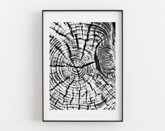 Tree Print, Tree Stump Print, Tree Ring Print, Tree Print, Wood Print, Wood Art, Photo Tree Ring, Nature Print, Wood Cut, Trees Print