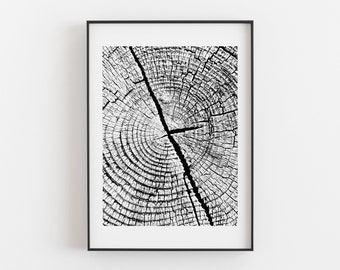 Tree Ring, Tree Ring Prints, Black and White Prints, Nature Prints, Best Selling, Forest Photo, Photos of Forest, Trees Print, Print, Wood