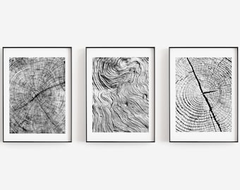 Set of Three Tree Ring Prints, Tree Ring Print Set, Nature Set, Nature Decor Print Set, Black and White Set, Tree Ring, Tree Ring Photo