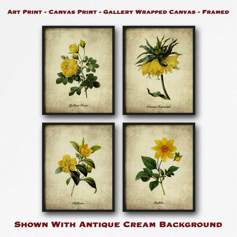 Yellow Botanical Print Set Yellow Flower Set of 4 Botanical | Etsy