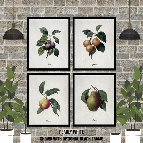 Botanical Fruit Etsy